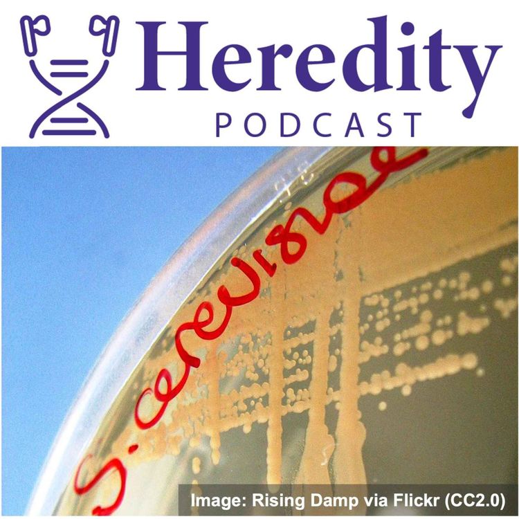 cover art for Sex in a warming world: temperature and meiosis