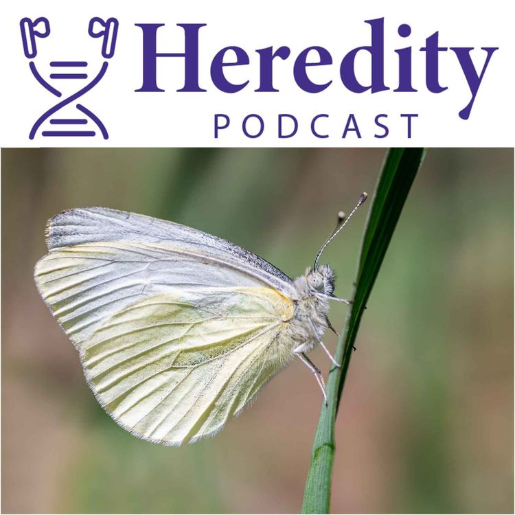 cover art for The consequences of invasion