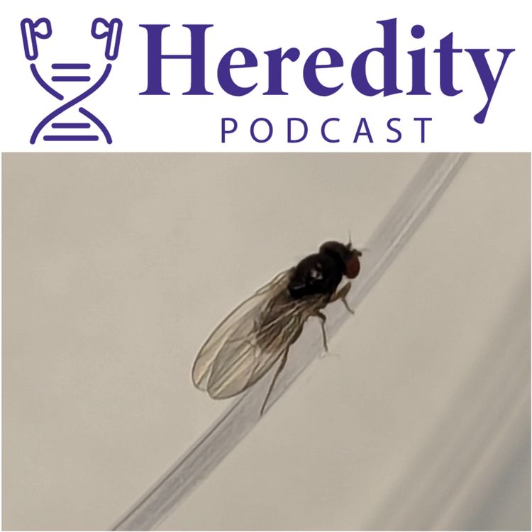 cover art for Sexual selection in a warming world