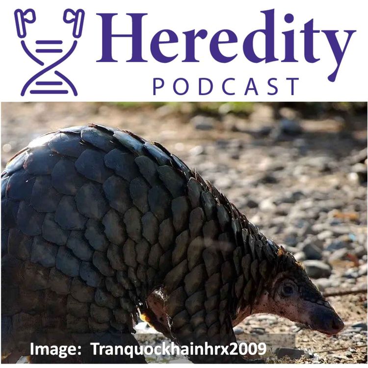 cover art for Pangolin popgen & the illegal wildlife trade