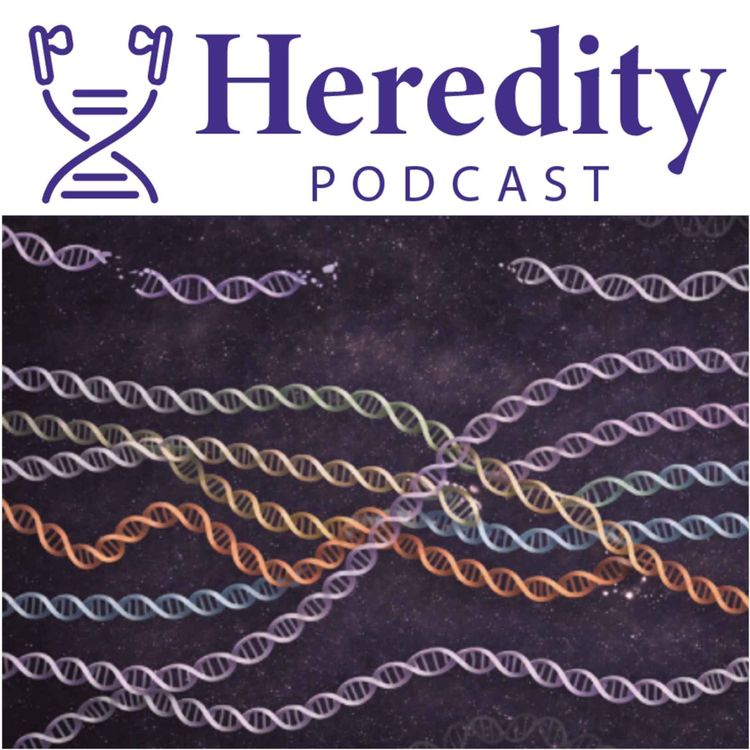 cover art for Special Issue on Structural Variation