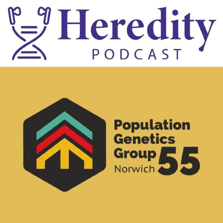 cover art for PopGroup55: Norwich