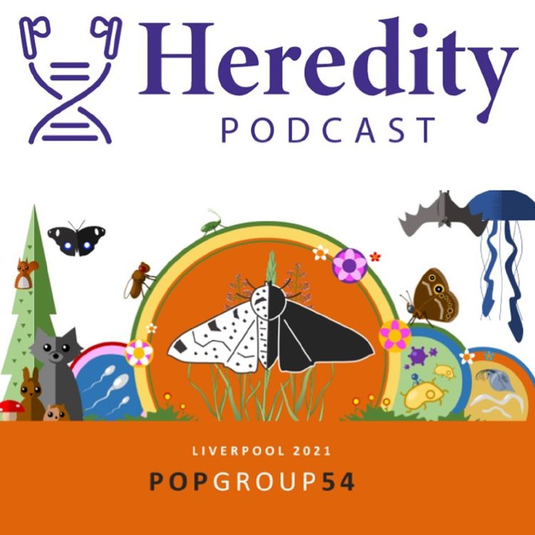 cover art for PopGroup 54 Special