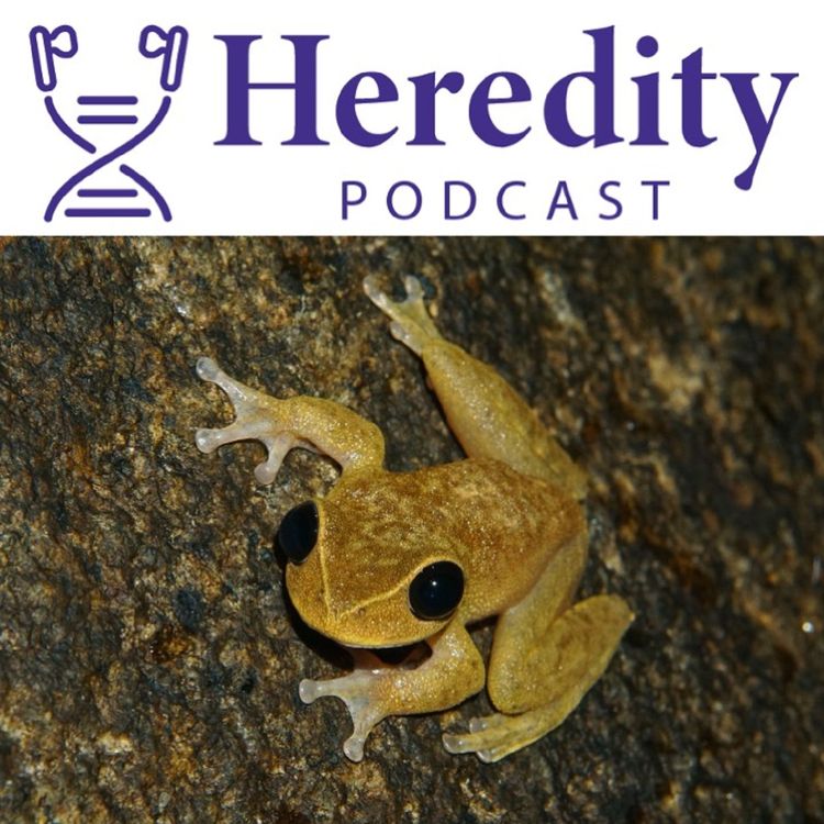 cover art for The best student-led papers in Heredity