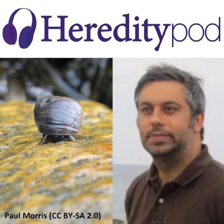 cover art for Inversions: an interview with Dr Rui Faria