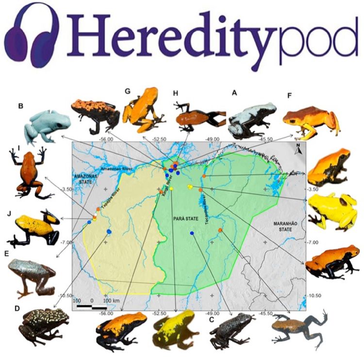 cover art for Fantastic frogs and where to find them