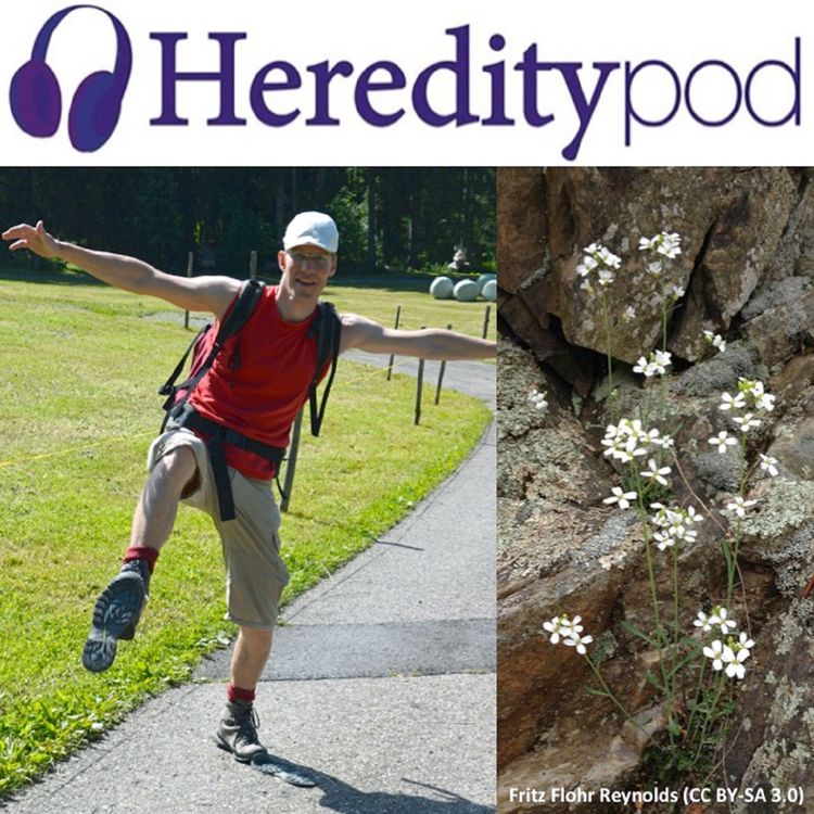 cover art for Multiple perspectives: an interview with Dr Marc Stift