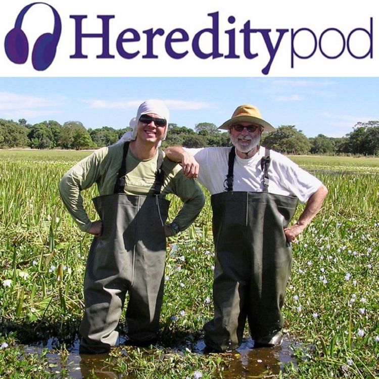 cover art for Tristyly: A most complex marriage arrangement