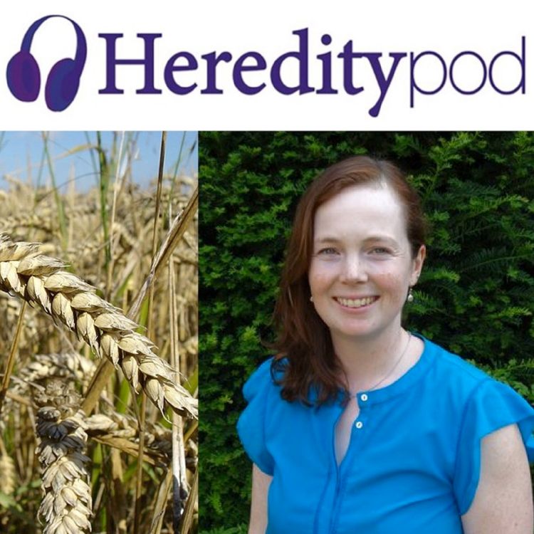 cover art for The crop specialist: an interview with Dr Alison Bently