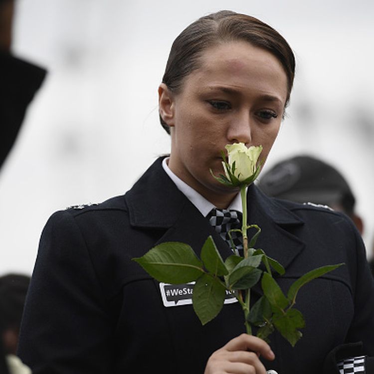 cover art for DeepDive#3: Tackling terrorism