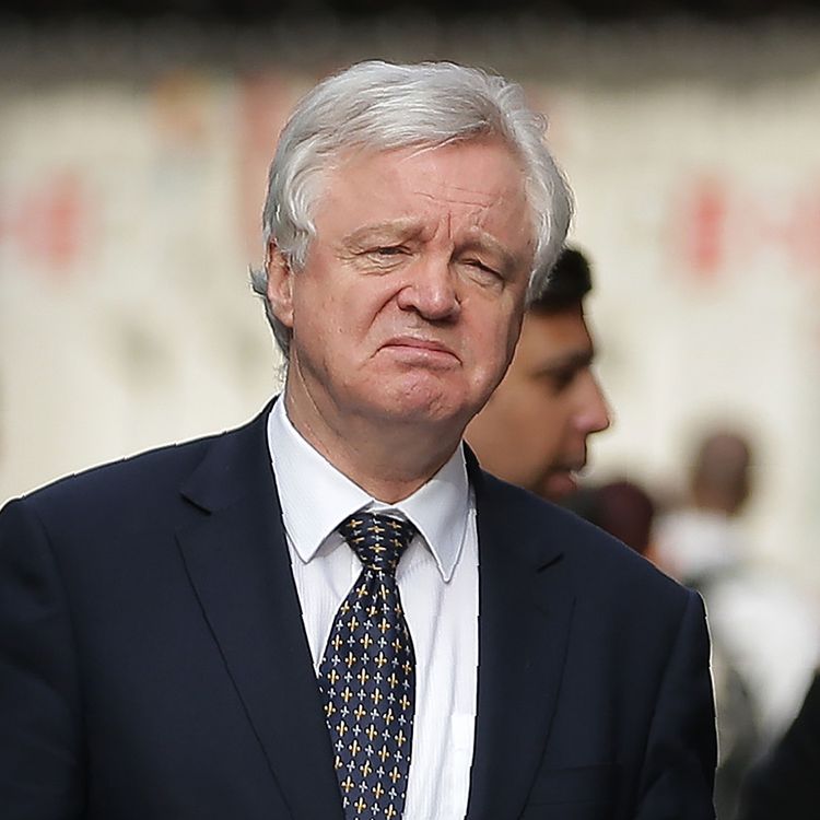 cover art for NS#210: Stooge and Stable