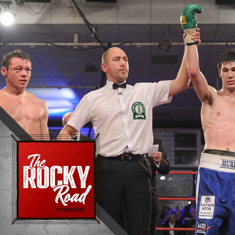 cover art for David Irving - The Man in the Middle