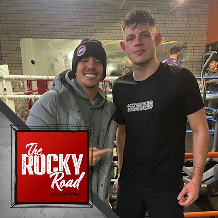 cover art for Kevin Cronin - The Kingdom Warrior