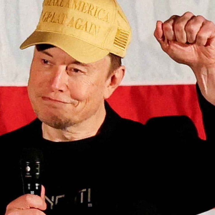 cover art for Elon Musk shakes up US politics over government funding