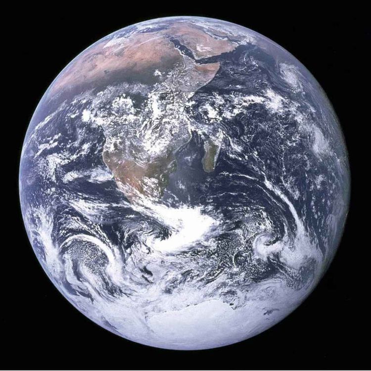 cover art for Preventing the sixth mass extinction (special)