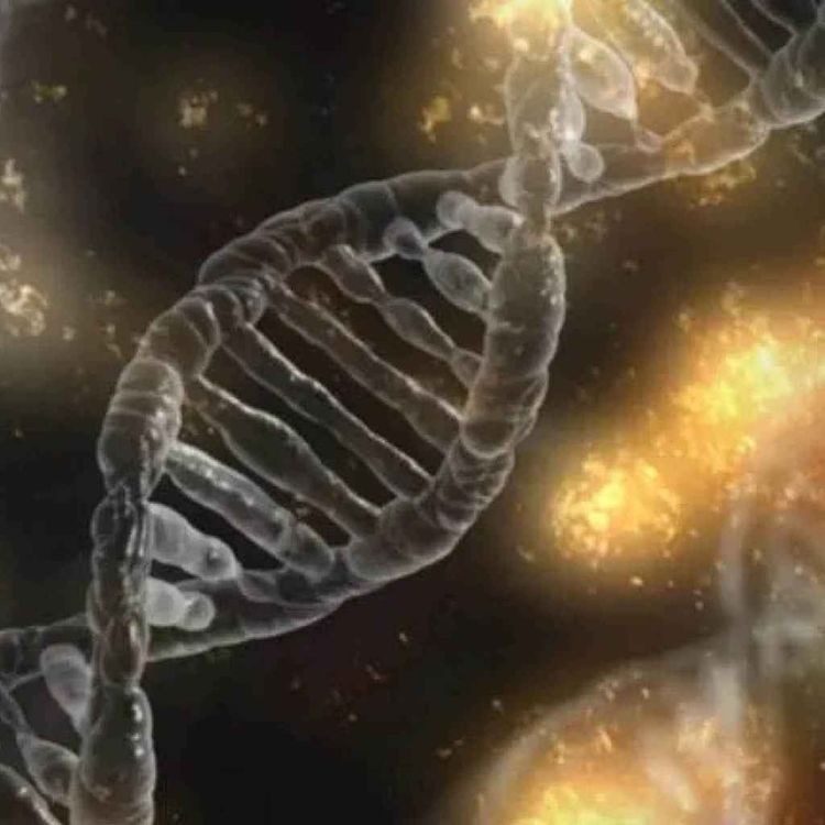 cover art for Ancient DNA reveals how people moved across the world