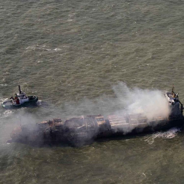 cover art for Fears for wildlife after North Sea oil spill