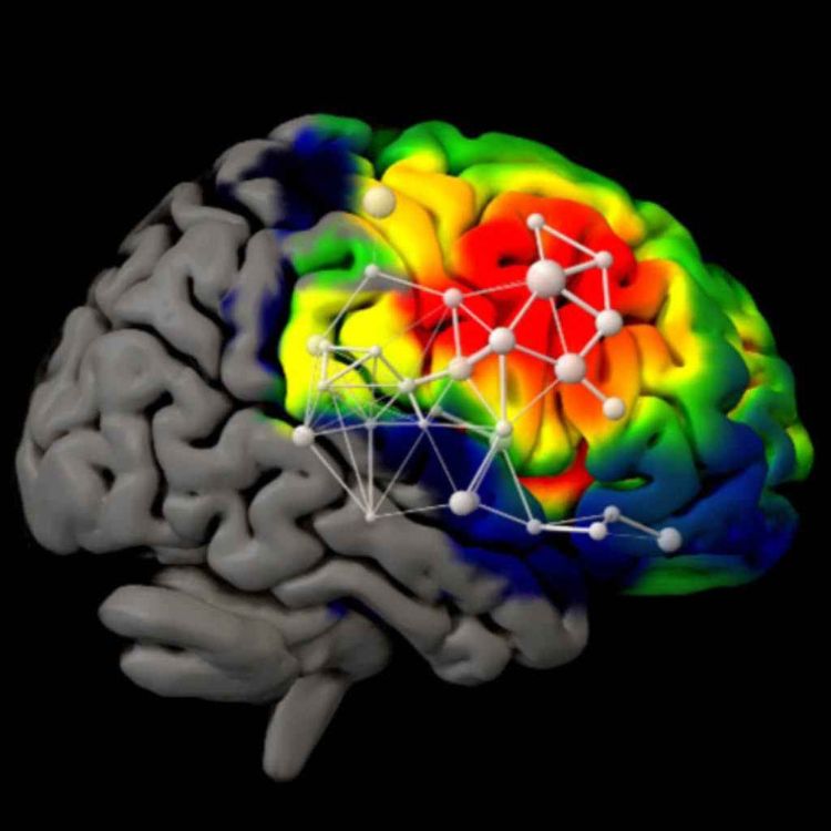 cover art for Brain injury patients help find location of logical thinking