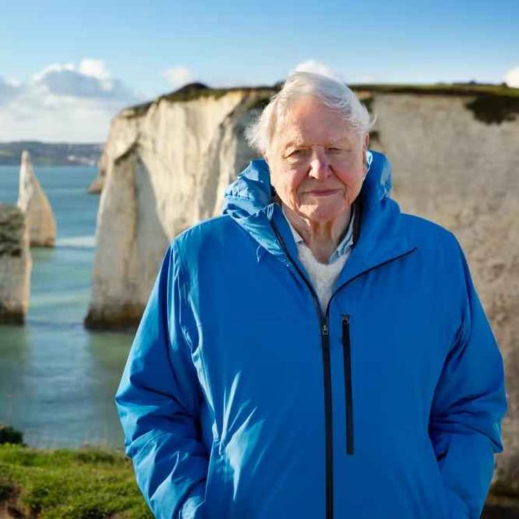 cover art for ‘If we save the sea, we save our world’ – Attenborough urges ocean protection