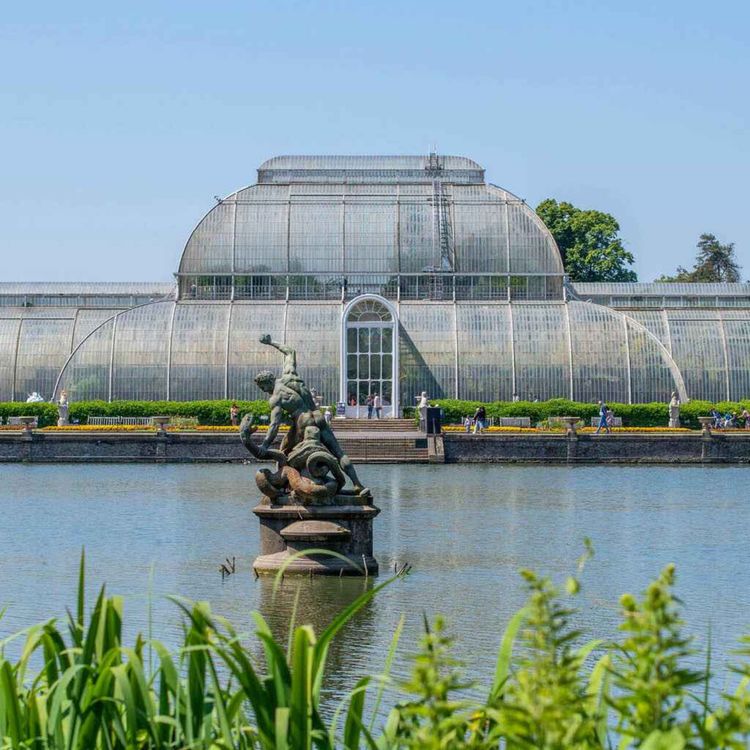 cover art for Kew Gardens' £60m Palm House renovation plans explained