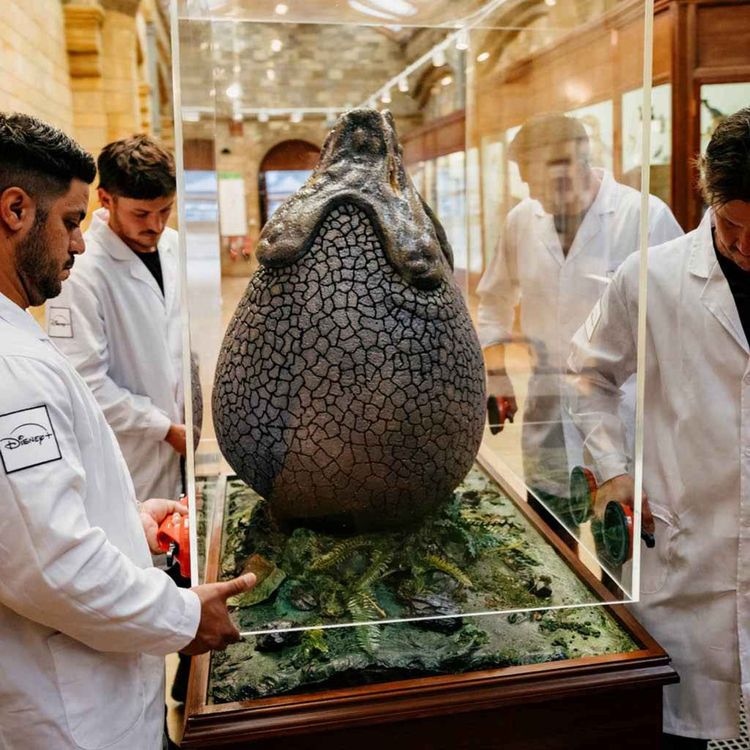 cover art for Disney+ deliver Alien: Earth egg to the Natural History Museum