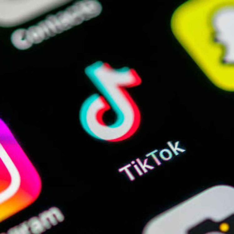 cover art for “Skibidi”, “tradwife”, and “delulu” added to the Cambridge Dictionary