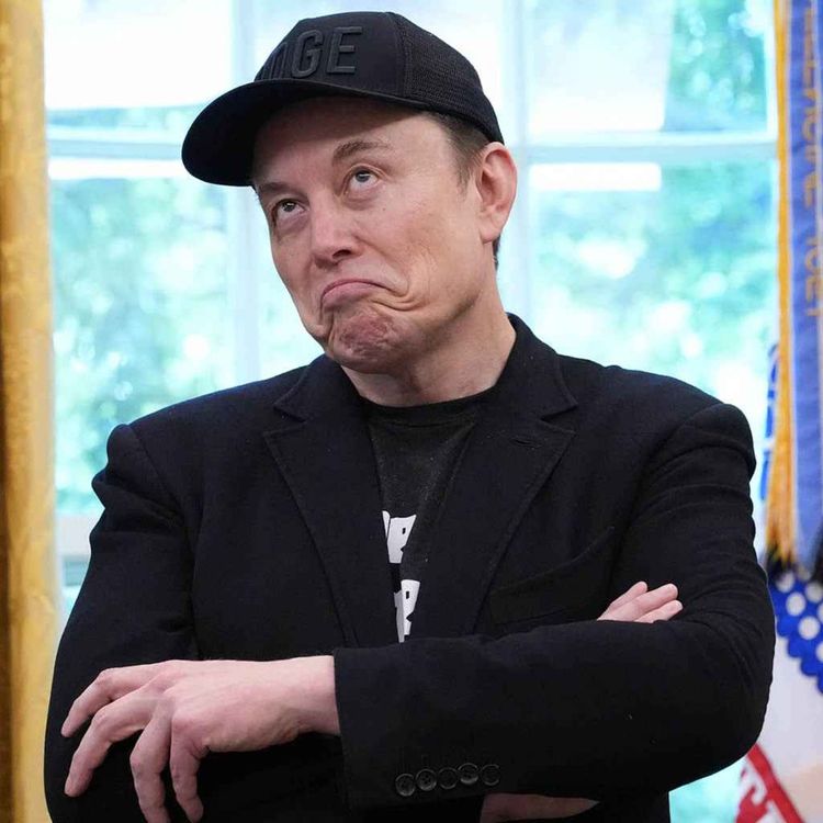 cover art for Musk responds to sanctions call over Tommy Robinson rally remarks