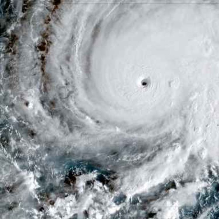 cover art for Hurricane Melissa: 'Jamaica's most destructive storm yet'