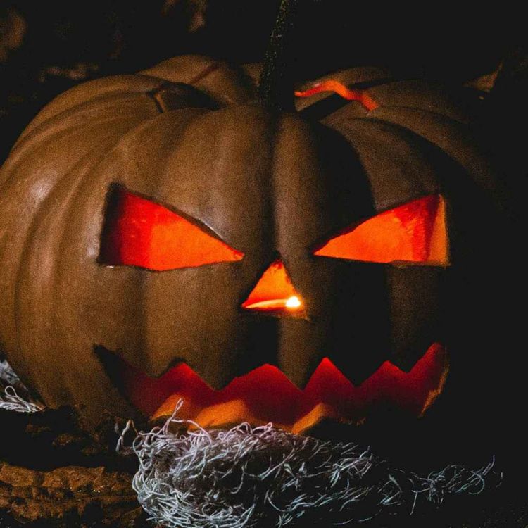 cover art for The Science of Fear | Replay