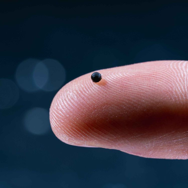 cover art for Magnetic micro robots: revolutionising treatment for stroke and brain tumour patients