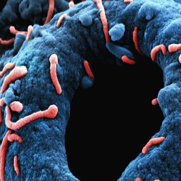 cover art for London “Superflu” Warning, Tube Fare Hike, UK Satellite-to-Mobile Push & PlayStation 2025 Wrap-Up