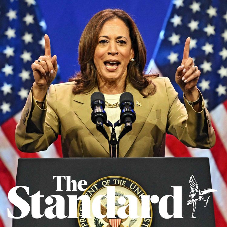 cover art for Biden drops out: Will it be Harris vs Trump?