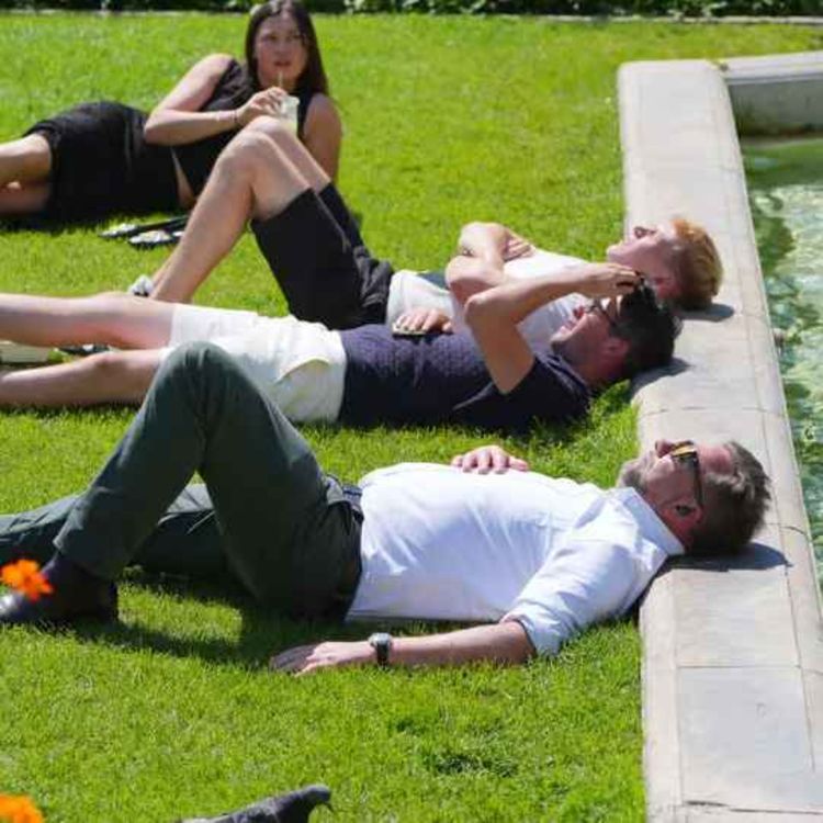 cover art for How heatwave-proof are our homes?