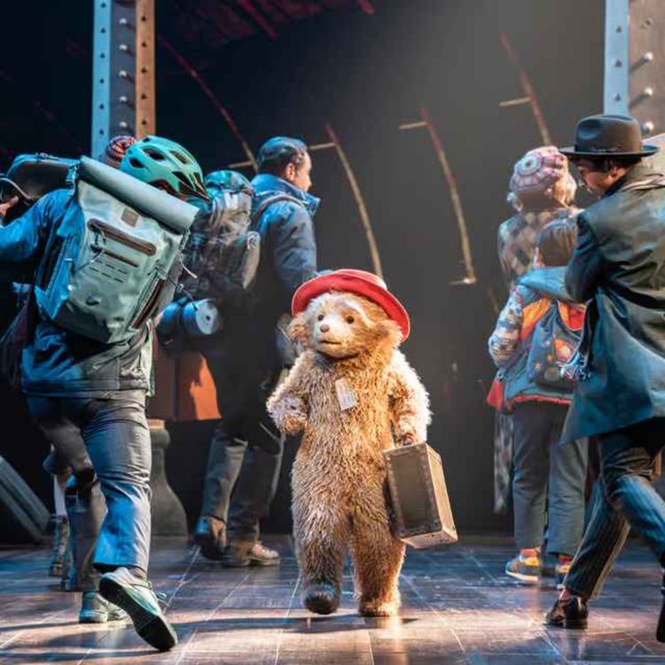 cover art for Paddington the Musical wows West End critics