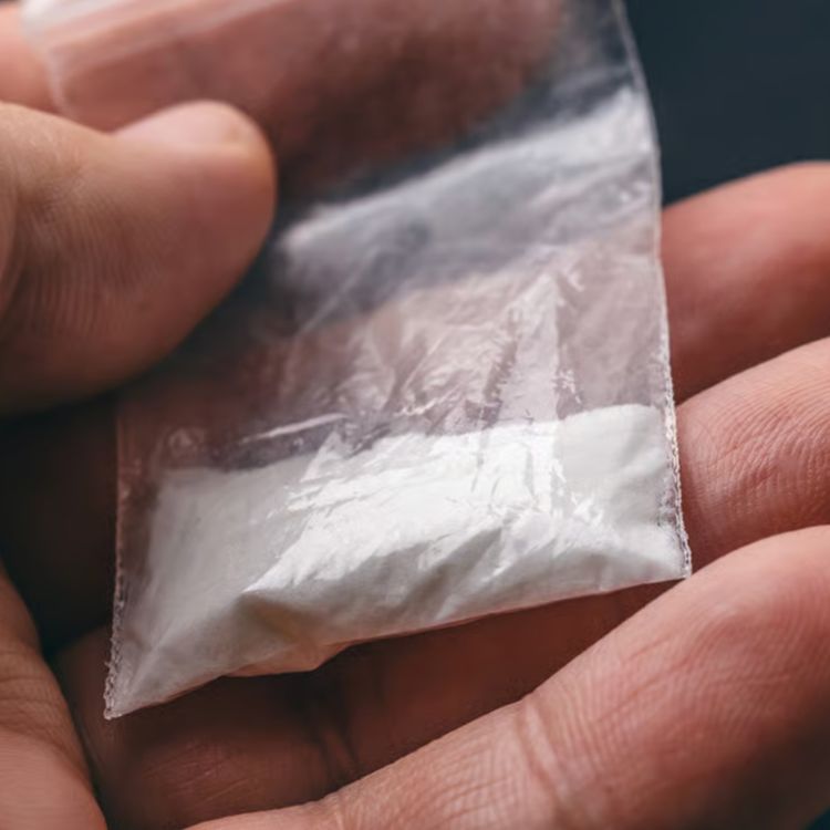 cover art for The men in the middle of London’s cocaine blizzard