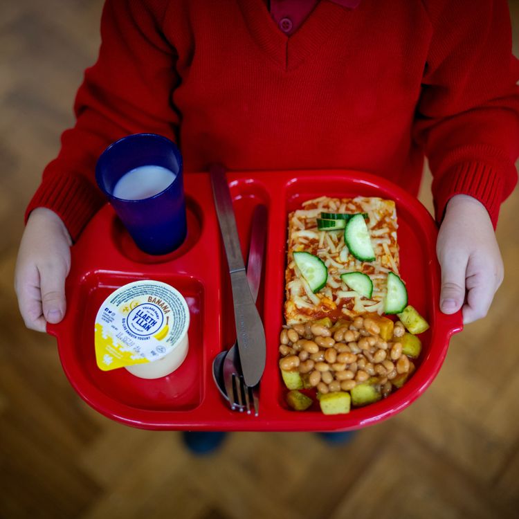 cover art for Can school meal reforms curb childhood obesity?