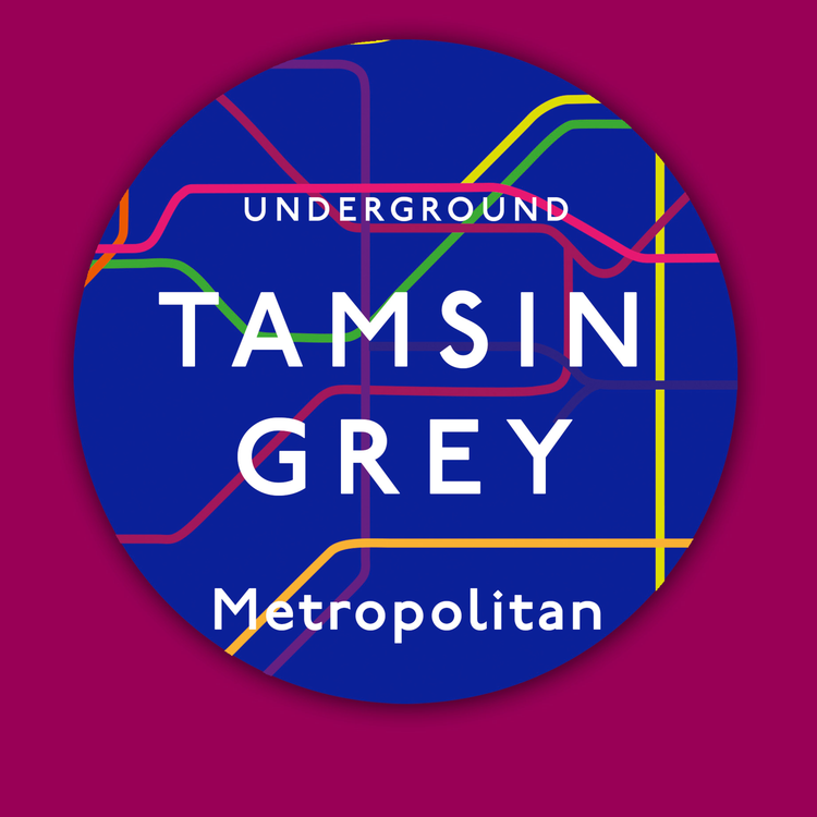 cover art for My Beautiful Millennial - Tamsin Grey