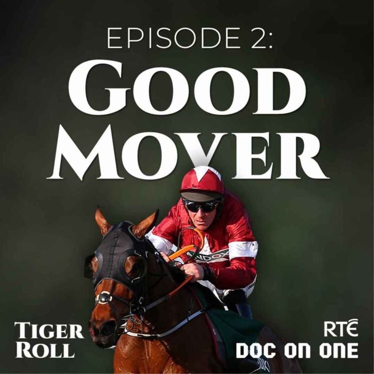 cover art for Tiger Roll, The People's Horse: 02 - Good Mover