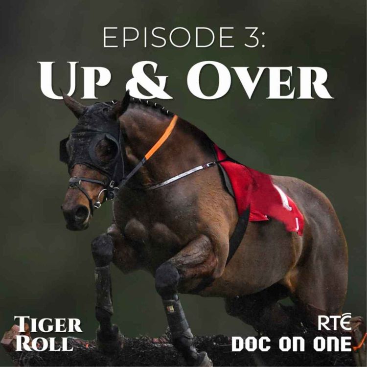 cover art for Tiger Roll, The People's Horse: 03 - Up And Over