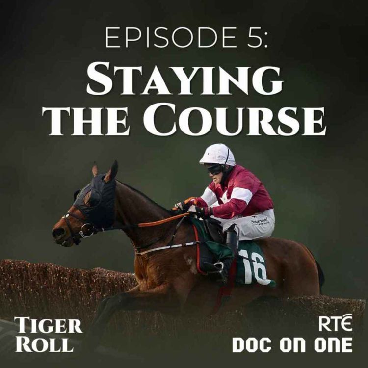 cover art for Tiger Roll, The People's Horse: 05 - Staying The Course