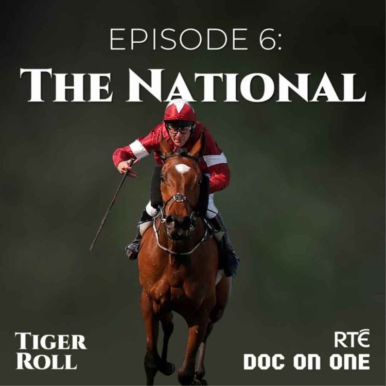 cover art for Tiger Roll, The People's Horse: 06 - The National