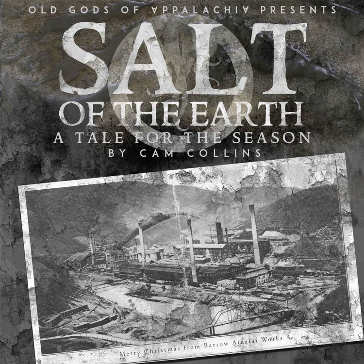 cover art for Salt of the Earth