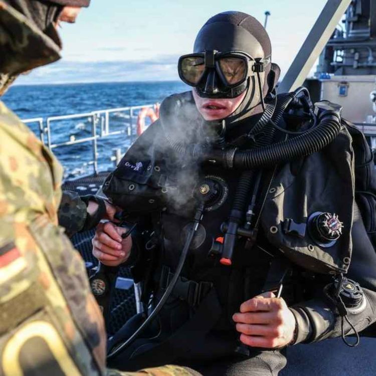 cover art for The underwater war against Russian sabotage