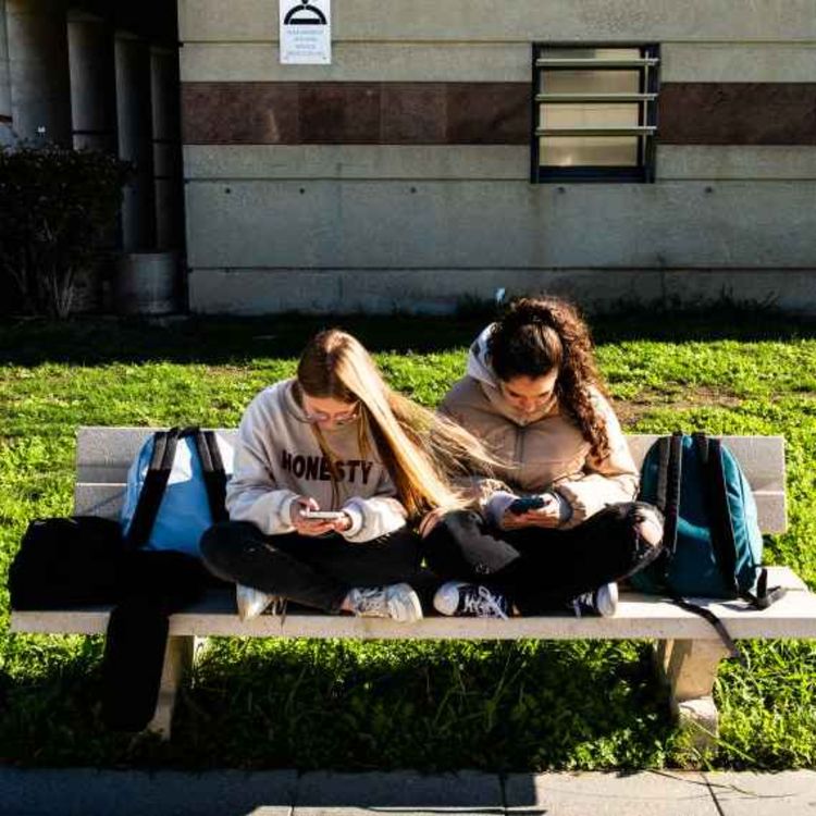 cover art for The Sunday Edition: 'Rewilding' the smartphone generation, one school's story