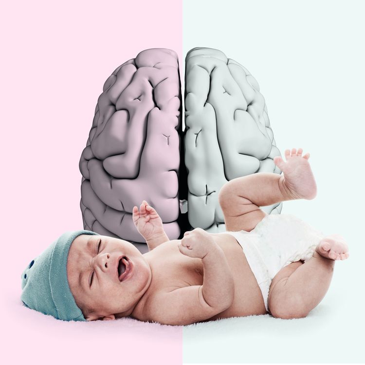 cover art for How men's brains change when they become dads