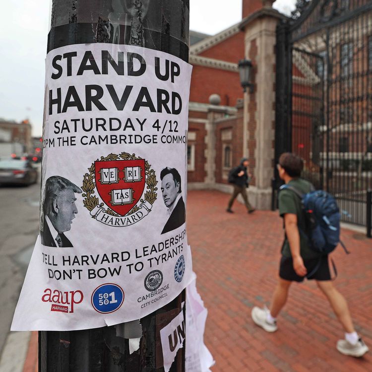 cover art for Harvard v Trump