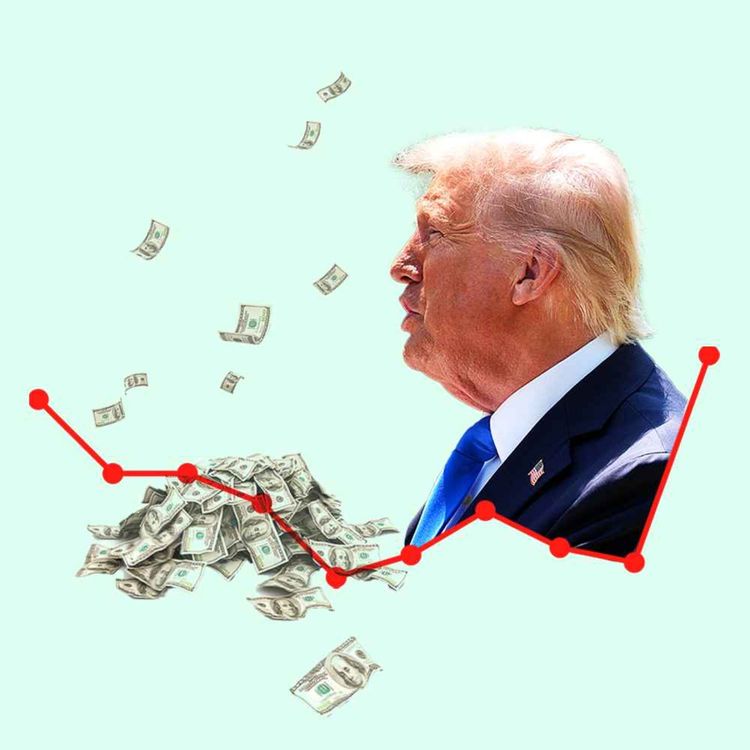 cover art for Trump family inc.