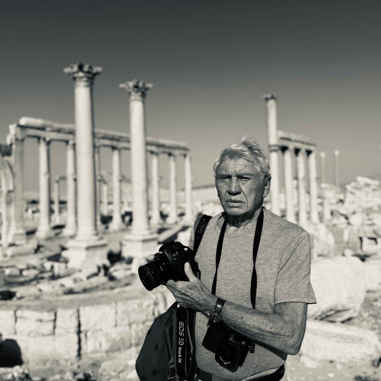 cover art for Palmyra: Syria's past, present and future