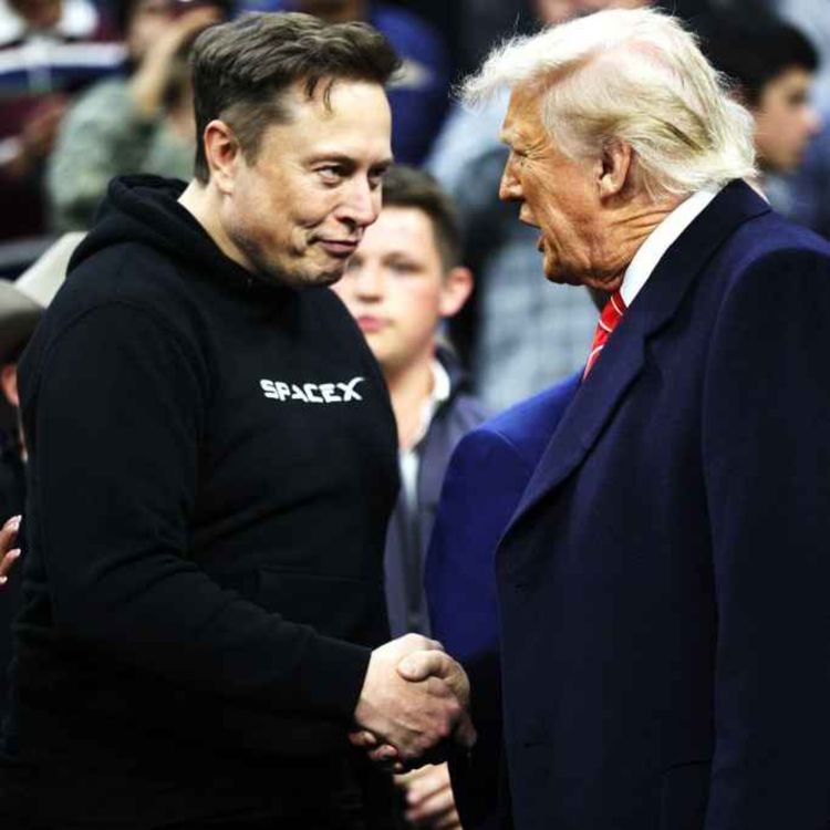 cover art for Trump v Musk: who won?