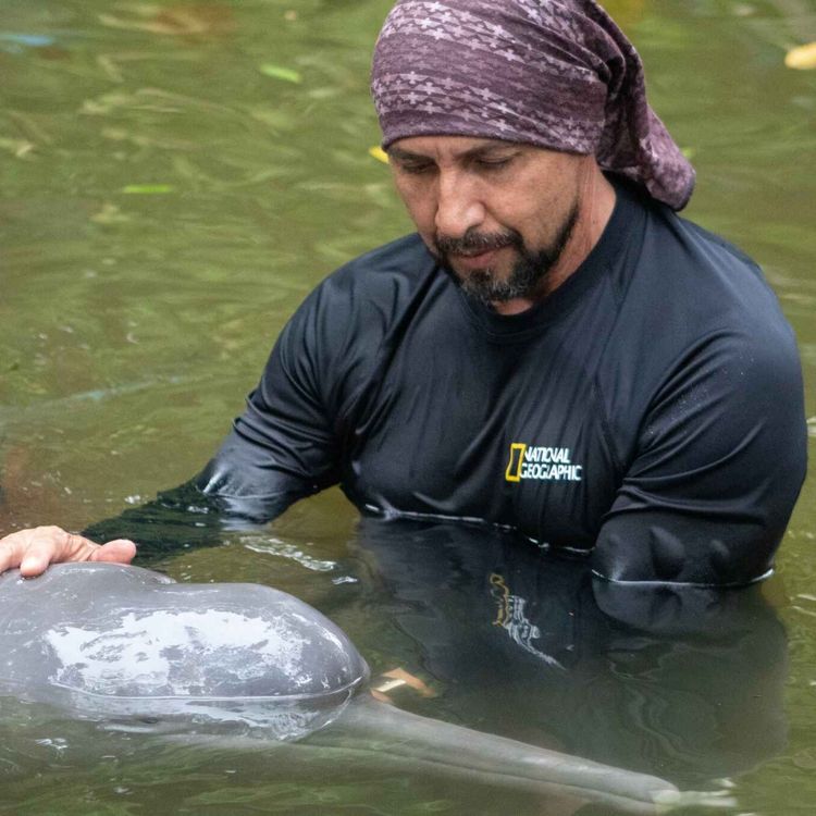 cover art for The Story presents: Planet Hope - Omacha, ‘the dolphin who became a man’